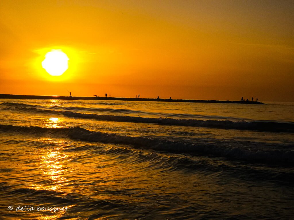 blogsemana3-30