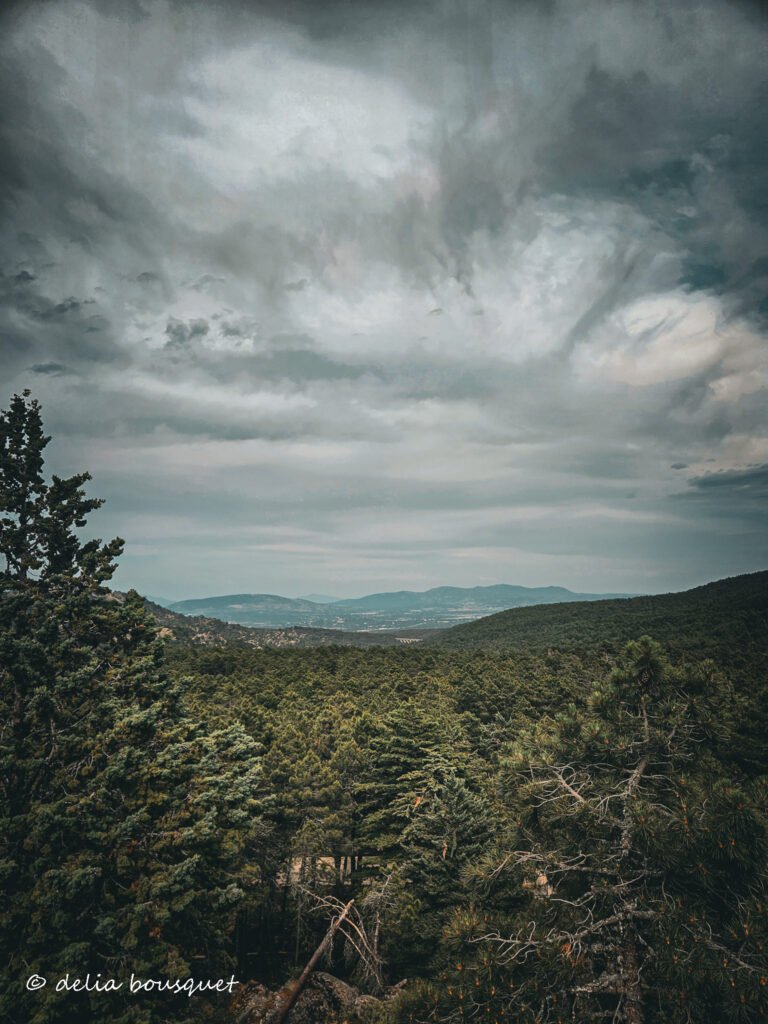 blogsemana4-002