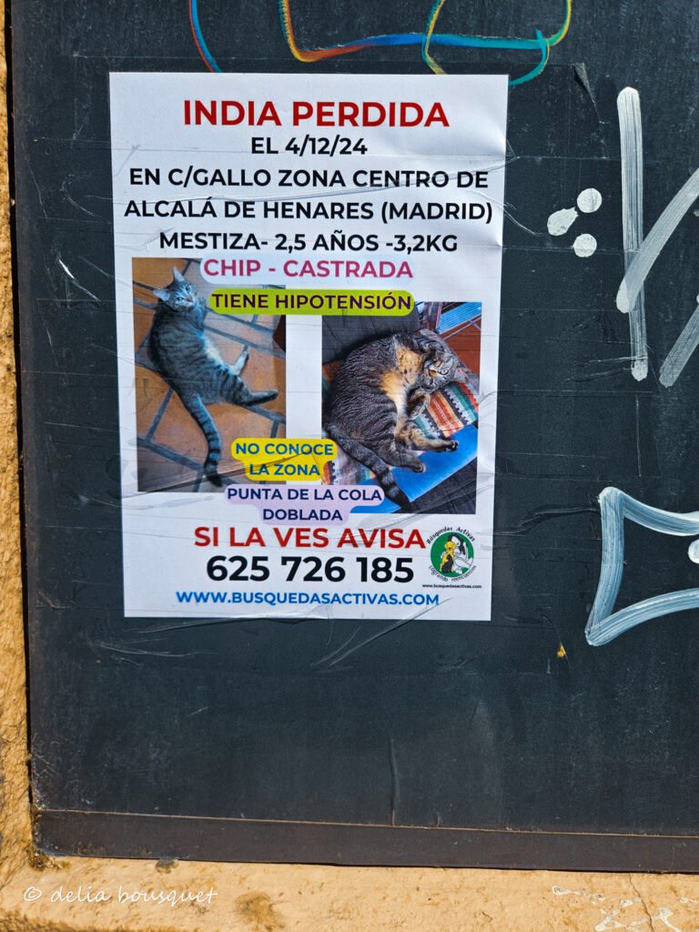 blogsemana4-067