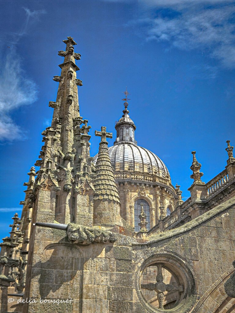 blogsemana5-60