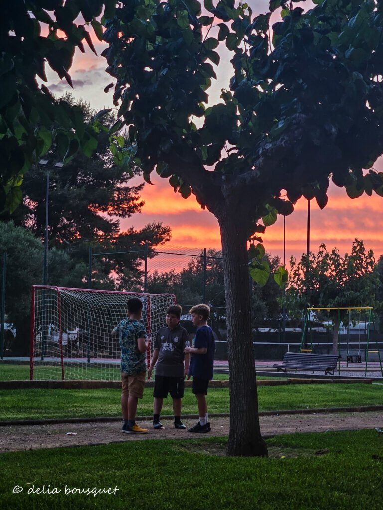 blogsemana6-22