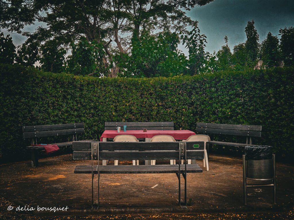 Outdoor firework dinner and the benches I hid under