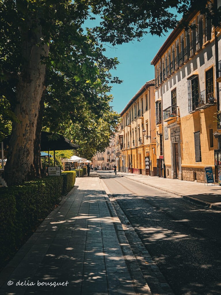 blogsemana10-005