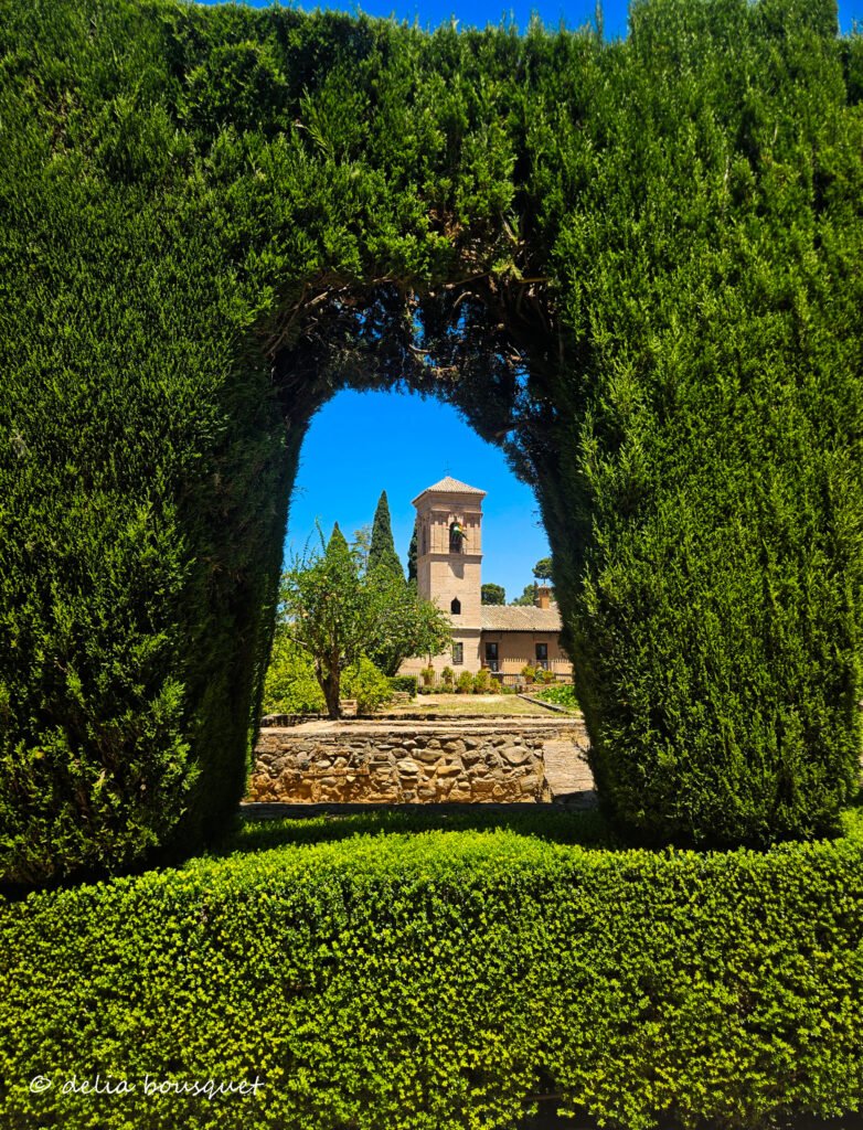 blogsemana10-017