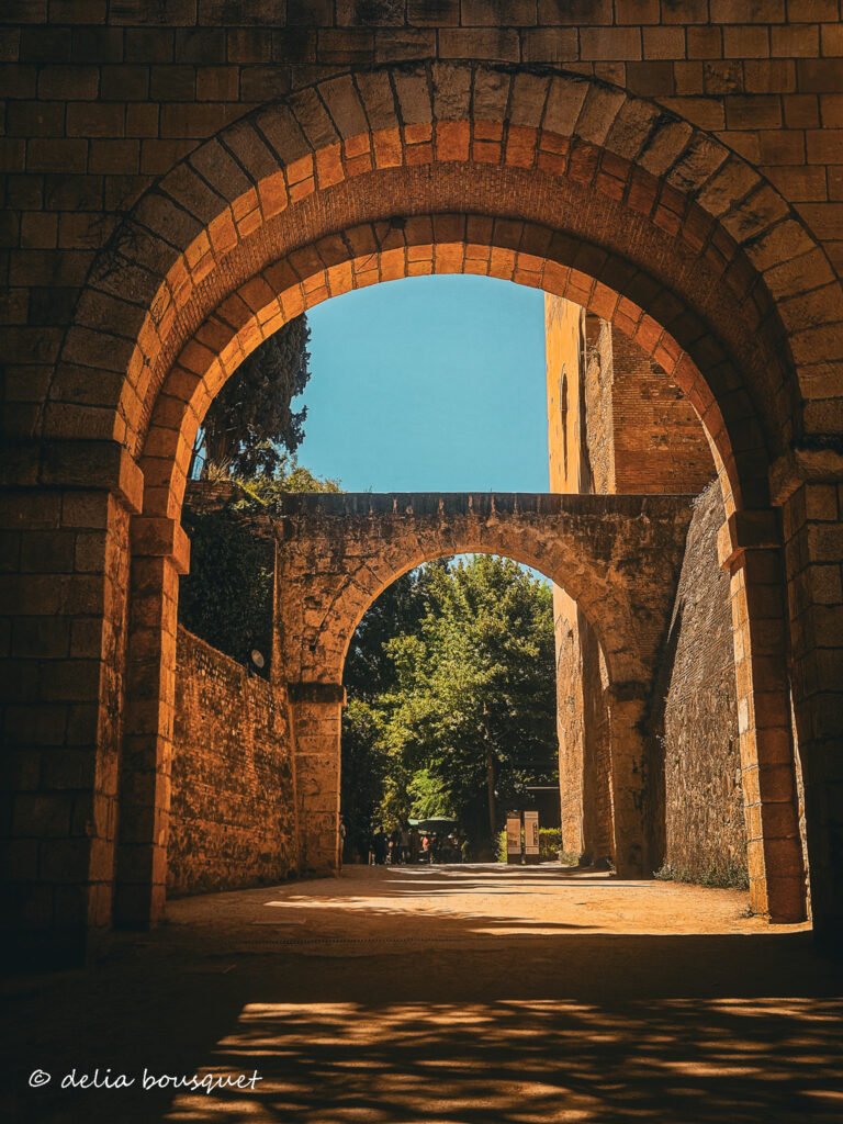blogsemana10-045