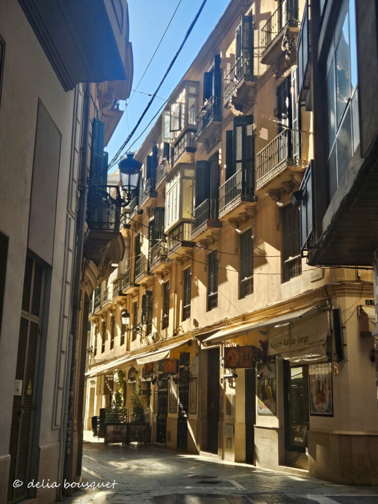 blogsemana11-112