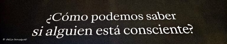 blogsemana12-072