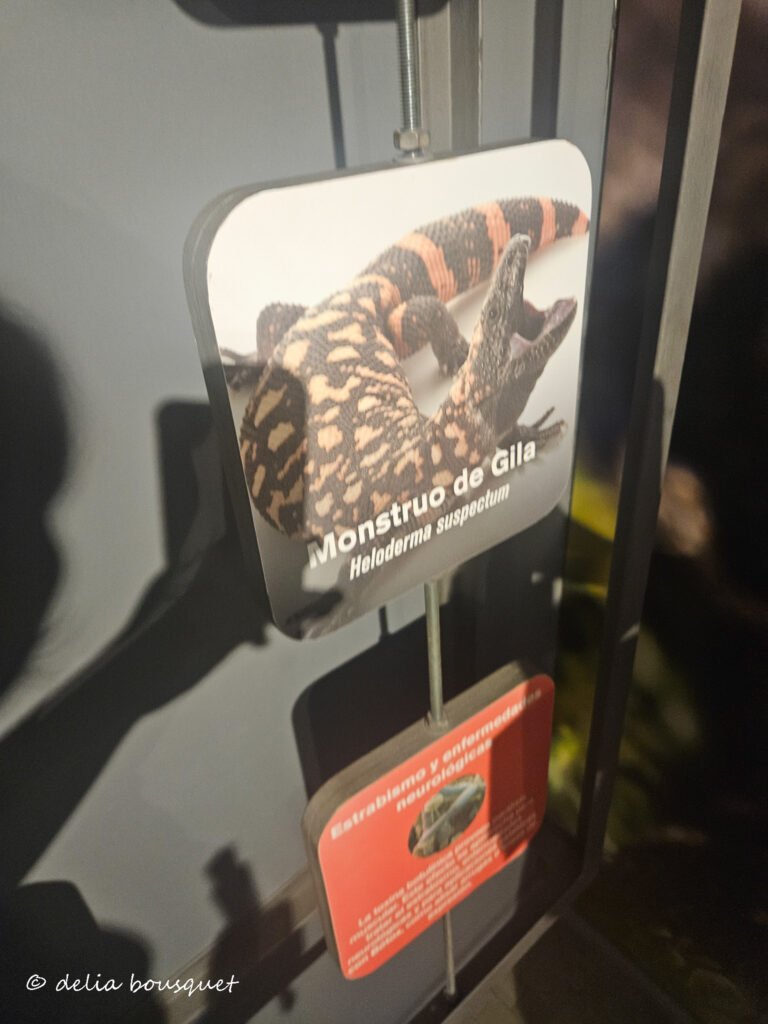 the venom cards