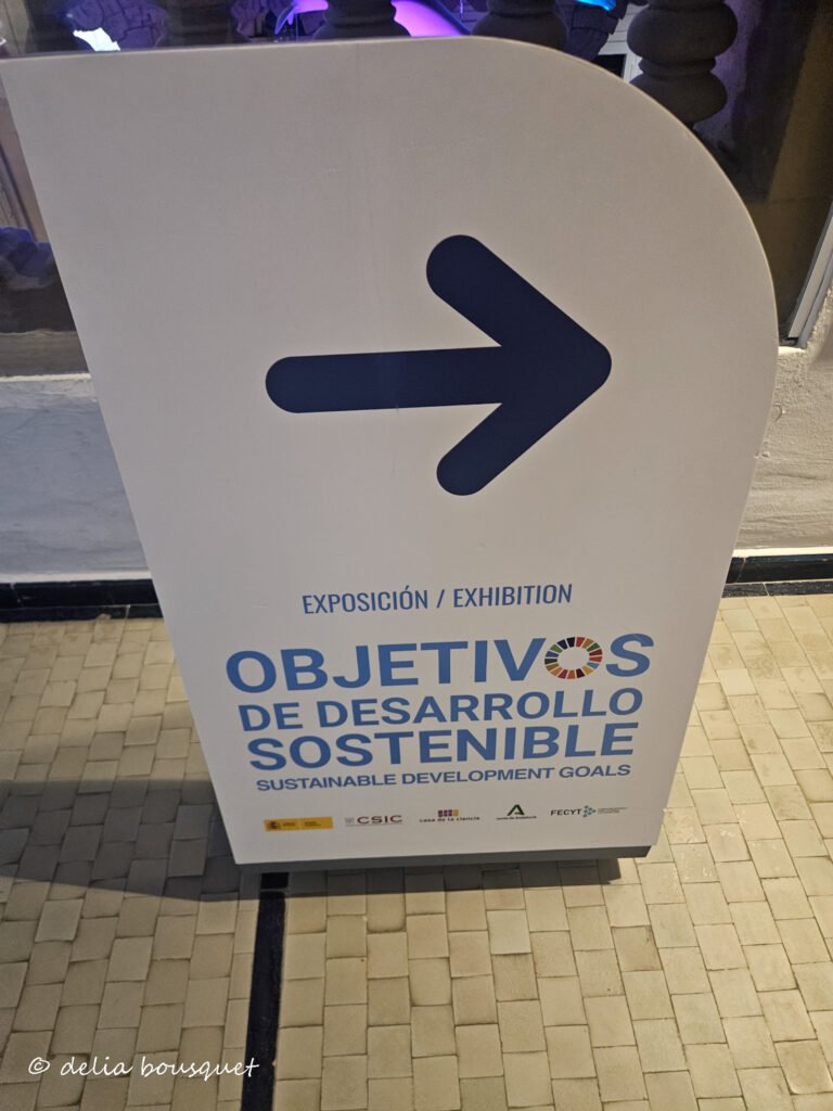 blogsemana12-080